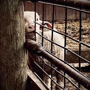 Meet your Posher, Kathryn